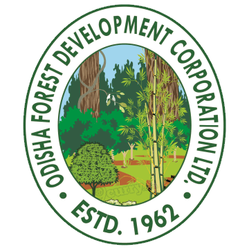 OFDC Jr Accountant Result 2021