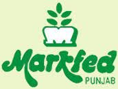 Markfed Punjab Assistant Accountant Recruitment 2021